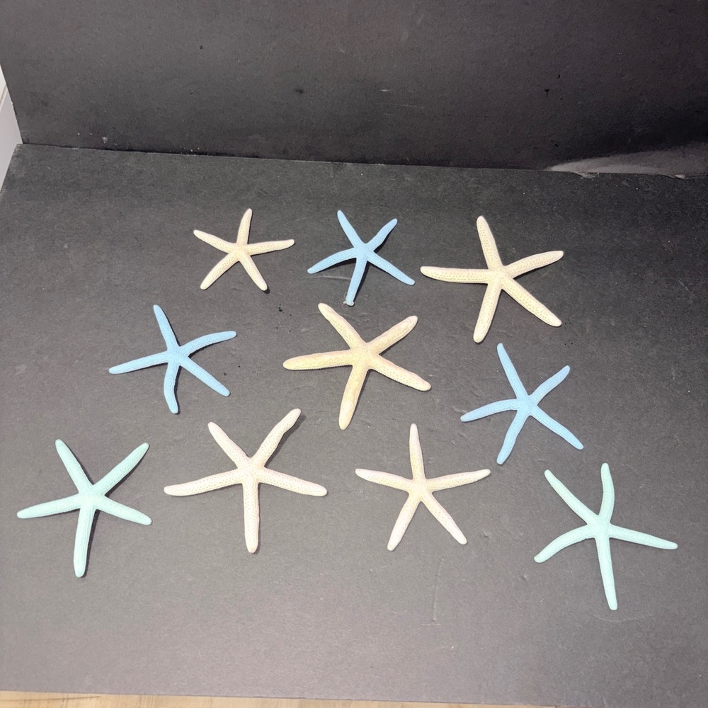 10 Pc Mixed Natural Dried Real Starfish Set Blue Cream Seafoam Coastal Decor